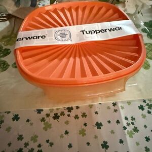 Tupperware Orange/ Salmon Servalier 9” Bowl with Snap-On Lid